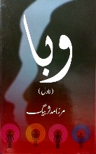 Waba Novel
